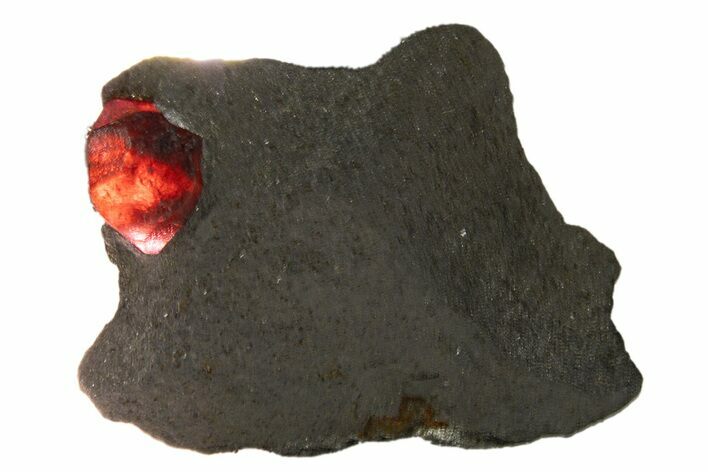 Red Embers Garnet in Graphite - Massachusetts #313433